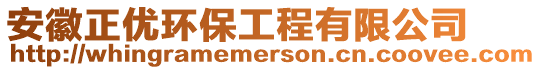 安徽正優(yōu)環(huán)保工程有限公司