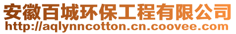 安徽百城環(huán)保工程有限公司