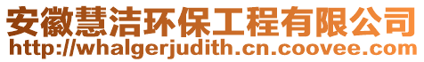 安徽慧潔環(huán)保工程有限公司