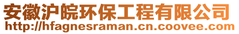 安徽滬皖環(huán)保工程有限公司