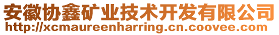 安徽協(xié)鑫礦業(yè)技術(shù)開發(fā)有限公司