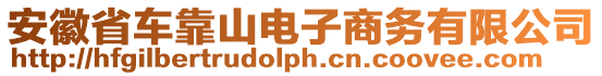 安徽省車靠山電子商務有限公司