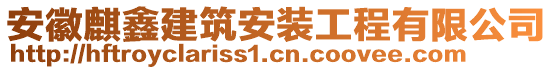 安徽麒鑫建筑安裝工程有限公司