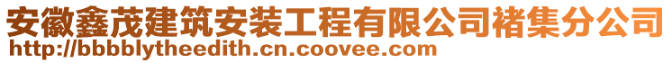 安徽鑫茂建筑安裝工程有限公司褚集分公司