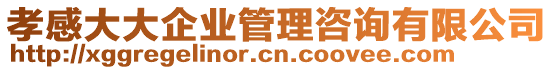 孝感大大企業(yè)管理咨詢有限公司