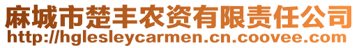 麻城市楚豐農資有限責任公司