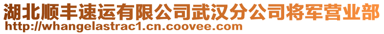 湖北顺丰速运有限公司武汉分公司将军营业部