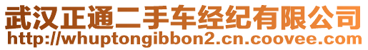 武漢正通二手車經(jīng)紀(jì)有限公司