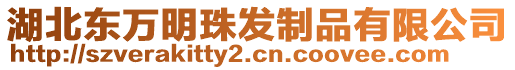 湖北東萬明珠發(fā)制品有限公司