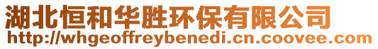 湖北恒和華勝環(huán)保有限公司