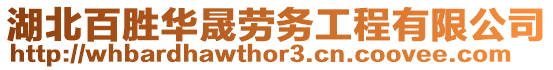 湖北百勝華晟勞務(wù)工程有限公司