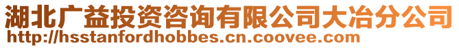 湖北廣益投資咨詢有限公司大冶分公司