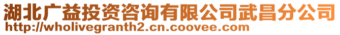 湖北廣益投資咨詢有限公司武昌分公司