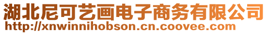 湖北尼可藝畫(huà)電子商務(wù)有限公司