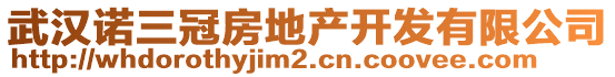 武漢諾三冠房地產(chǎn)開發(fā)有限公司