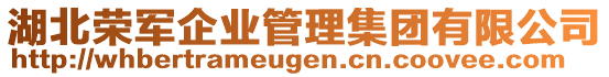 湖北榮軍企業(yè)管理集團(tuán)有限公司