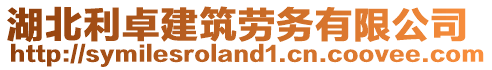 湖北利卓建筑勞務(wù)有限公司