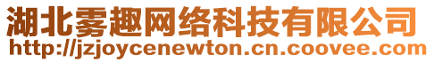 湖北霧趣網(wǎng)絡(luò)科技有限公司