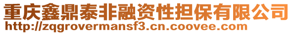 重慶鑫鼎泰非融資性擔(dān)保有限公司