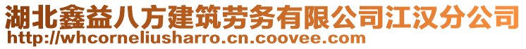 湖北鑫益八方建筑勞務(wù)有限公司江漢分公司