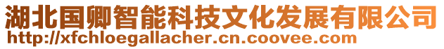 湖北國(guó)卿智能科技文化發(fā)展有限公司