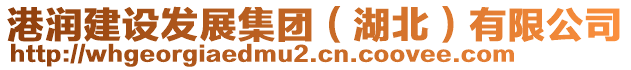 港潤建設(shè)發(fā)展集團（湖北）有限公司