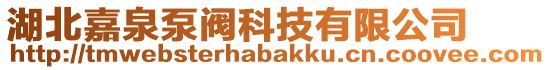 湖北嘉泉泵閥科技有限公司