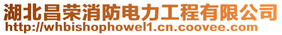 湖北昌榮消防電力工程有限公司