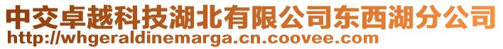 中交卓越科技湖北有限公司东西湖分公司