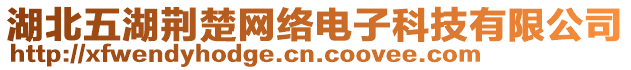 湖北五湖荊楚網(wǎng)絡(luò)電子科技有限公司