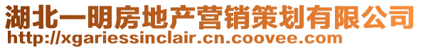 湖北一明房地产营销策划有限公司