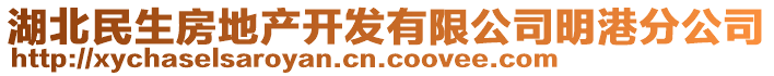 湖北民生房地產(chǎn)開發(fā)有限公司明港分公司