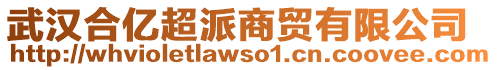 武漢合億超派商貿(mào)有限公司