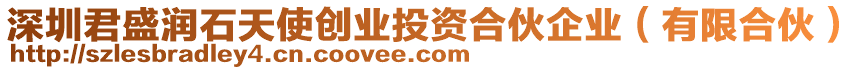 深圳君盛潤(rùn)石天使創(chuàng)業(yè)投資合伙企業(yè)（有限合伙）