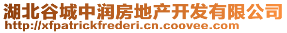 湖北谷城中潤房地產(chǎn)開發(fā)有限公司