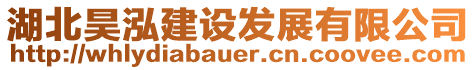 湖北昊泓建設(shè)發(fā)展有限公司