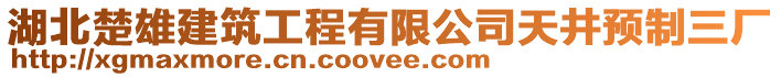 湖北楚雄建筑工程有限公司天井預制三廠