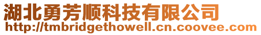 湖北勇芳順科技有限公司