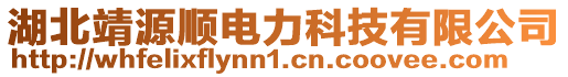 湖北靖源順電力科技有限公司