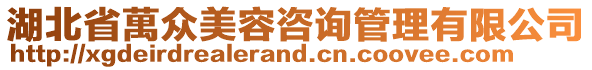 湖北省萬眾美容咨詢管理有限公司