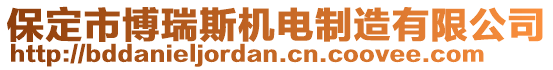 保定市博瑞斯機電制造有限公司