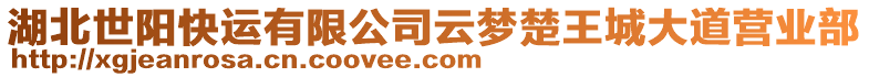 湖北世陽快運有限公司云夢楚王城大道營業(yè)部