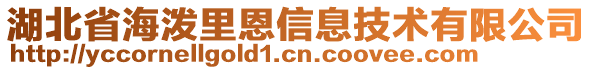 湖北省海泼里恩信息技术有限公司