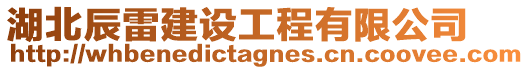 湖北辰雷建設工程有限公司