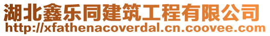 湖北鑫樂同建筑工程有限公司