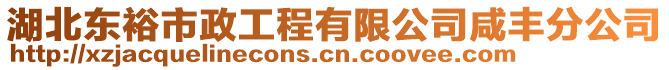 湖北東裕市政工程有限公司咸豐分公司