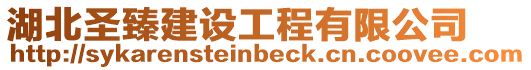 湖北圣臻建設(shè)工程有限公司