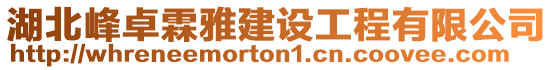 湖北峰卓霖雅建設(shè)工程有限公司