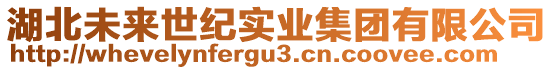 湖北未來世紀(jì)實(shí)業(yè)集團(tuán)有限公司