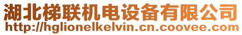 湖北梯聯(lián)機(jī)電設(shè)備有限公司